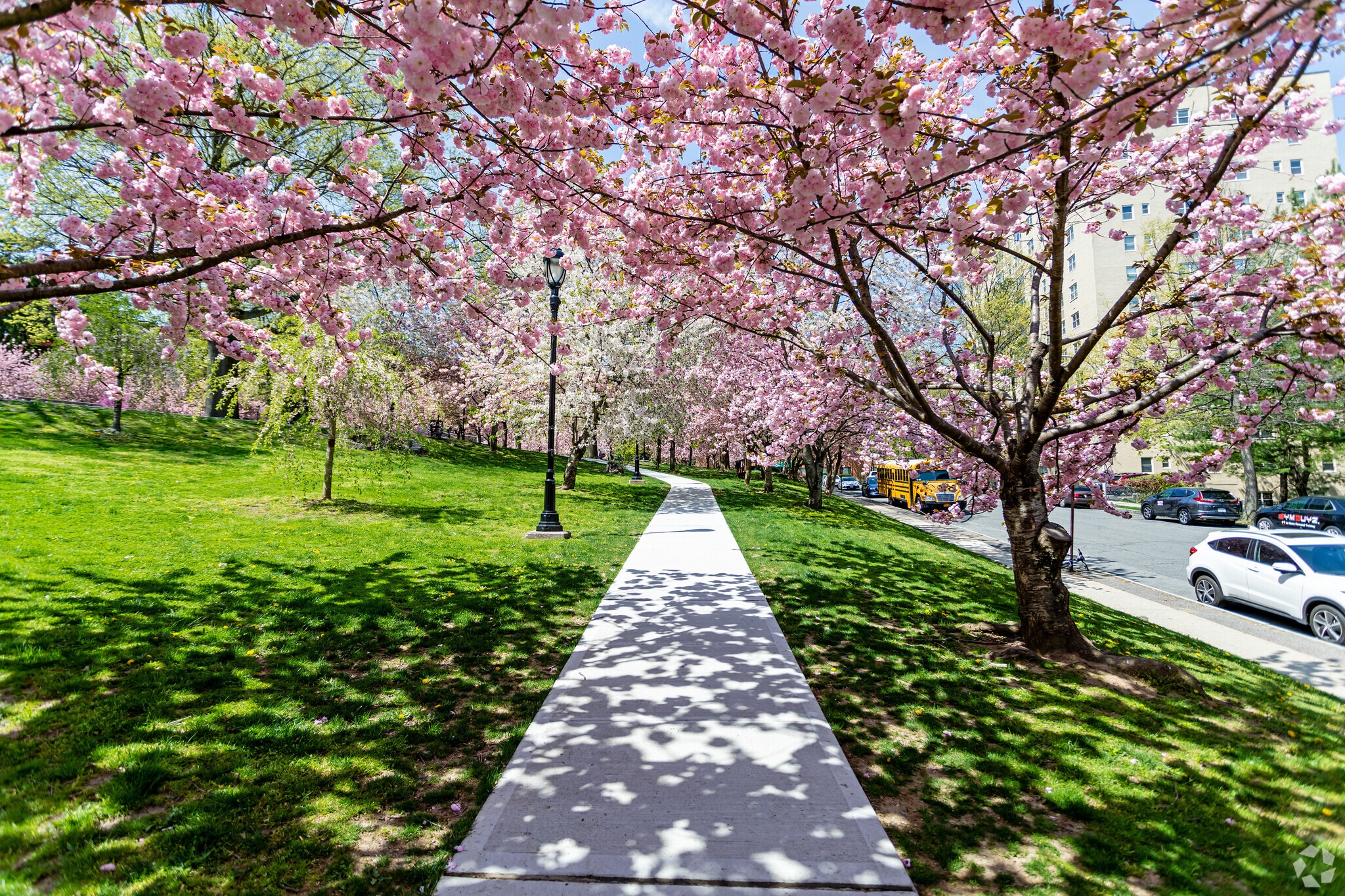 Explore White Plains, NY: A Dynamic Blend of Urban Energy and Suburban Charm