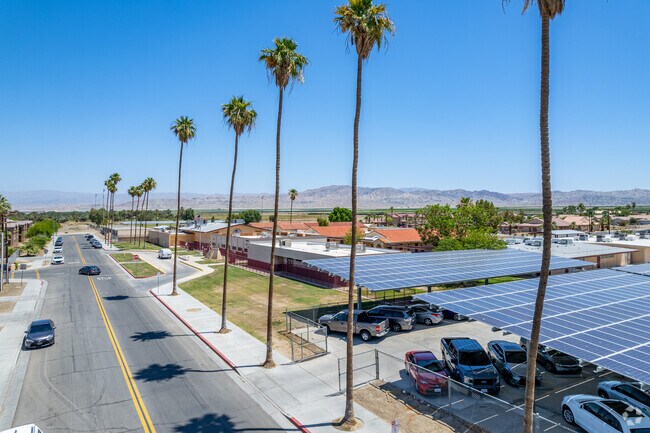 Mecca Elementary School street view with palm trees lining the streets.