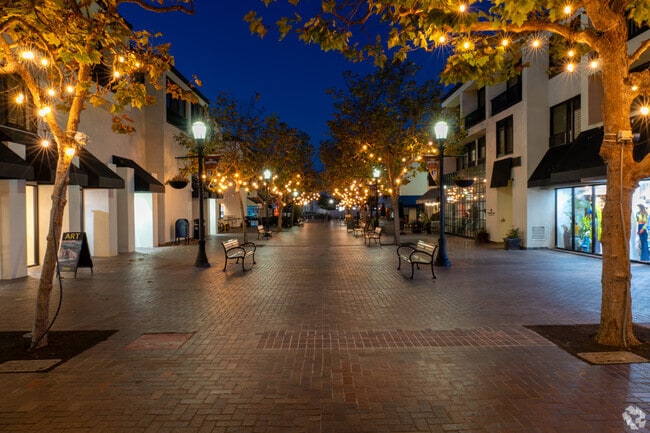 Casanova Oak Knoll residents enjoy relaxing night walks under glowing trees in Downtown Monterey.