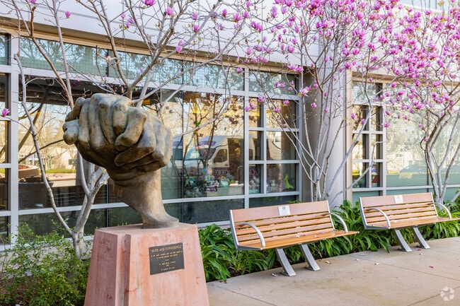 El Camino Hospital is the closest emergency hospital in Monta Loma.