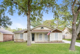 25202 Thrushwood Ln, Spring, TX 77373