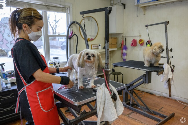 Vanity Fur in Wyckoff is a quaint little shop with affordable pet grooming services.