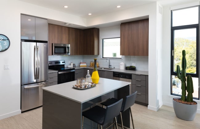 Aquatic Fourth Street, Berkeley, CA 94710 - photo 6