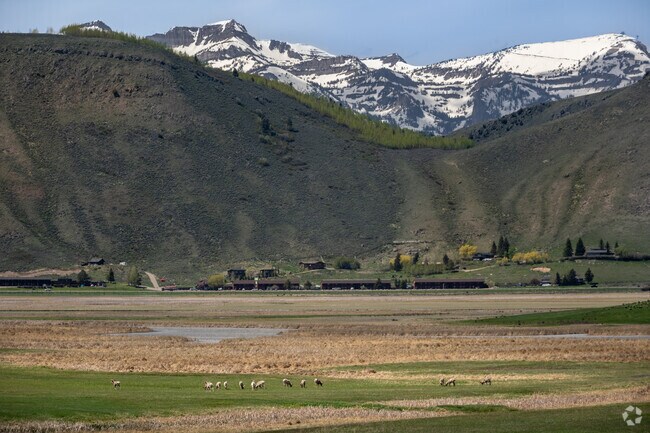 Drive north out of Jackson and explore the vast National Elk Refuge teeming with wildlife.