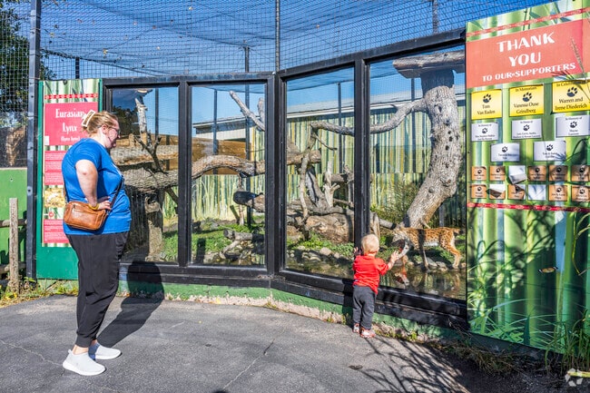 This child fell in love with the Eurasian Lynx at Red River Zoo near Willow Park.