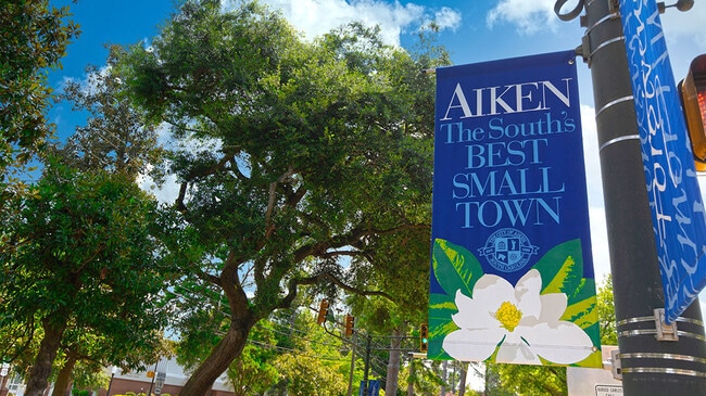 564 Whitby Ct, Aiken, SC 29801 - photo 3