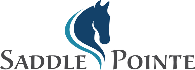 Saddle Point Logo FNL.png