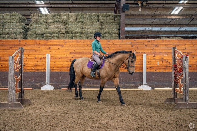 Chagrin Valley Farms is a prominent equestrian boarding and riding center in Bainbridge.