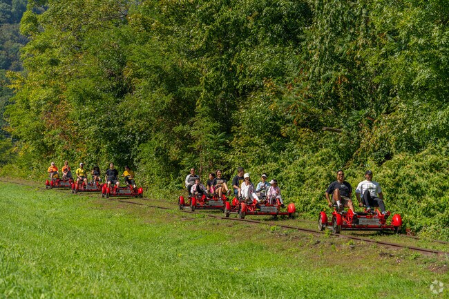 Residents of Plattekill can take a ride on the Rail Explorers carts.