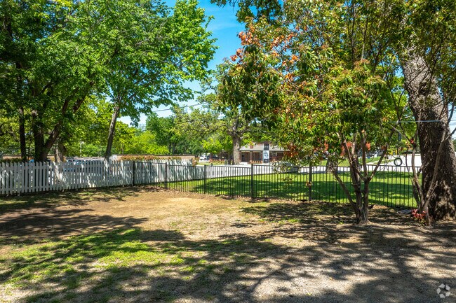 Plenty of space to play at Vine Academy.