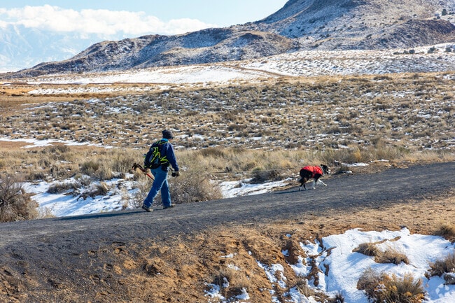 A woman walks her dog in El Cerro de Los Lunas Trailhead in West Los Lunas.