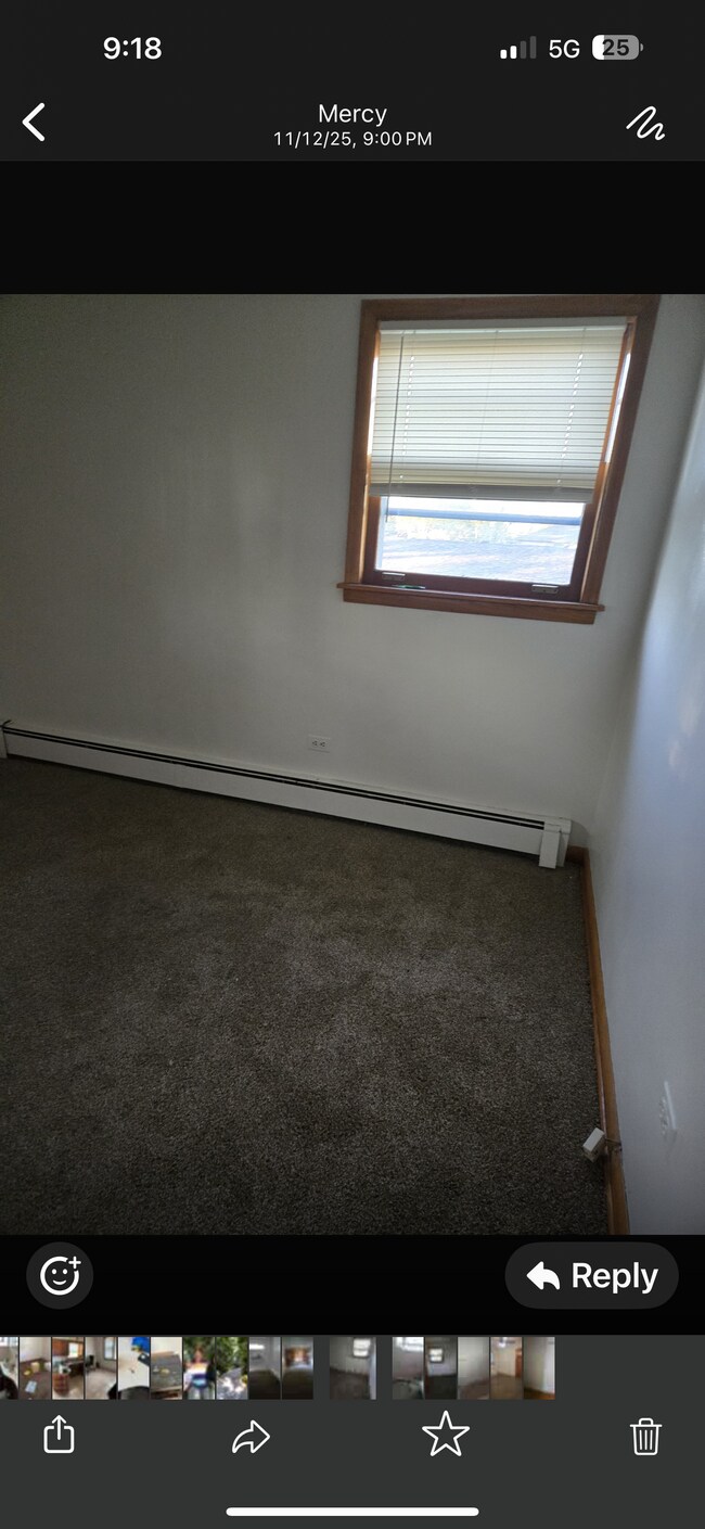 724 Peoria St unit 2, Chicago Heights, IL 60411 - photo 7