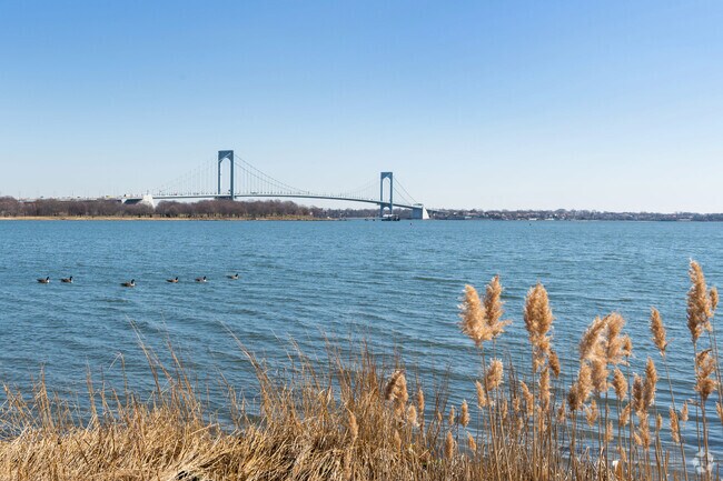 Stunning bridge view from Castle Hill Park, where urban architecture meets natural tranquility