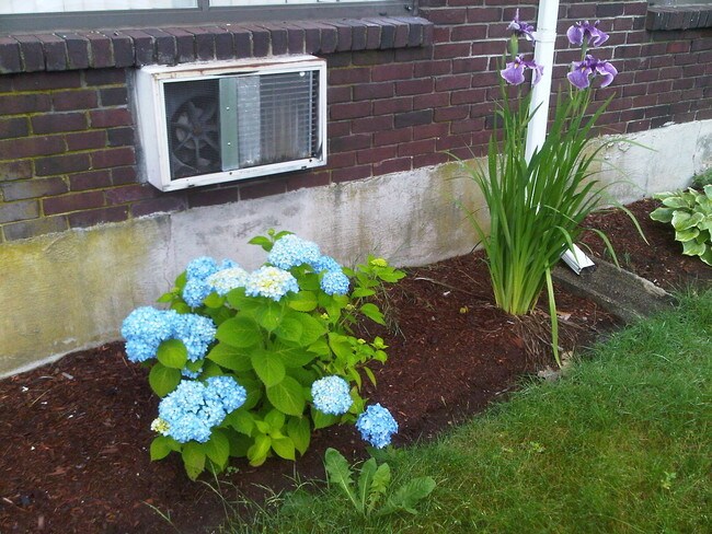 Oakland Heights Apartments, Methuen, MA 01844 - photo 5