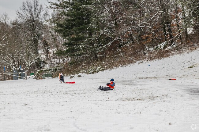 Franconia's snowy slopes come alive with the joy of a child's sledding adventure.