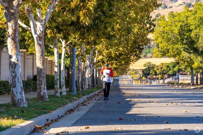 Tree-lined streets of Creekside offer shade and serenity for joggers.