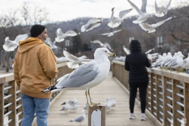 Memorial Park in Nyack features a pier and river views for relaxing walks.