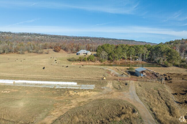 Many homes in Steele sit far back from the road.