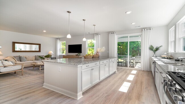 205 Summer Duck Place unit 37028931, Longs, SC 29568 - photo 4