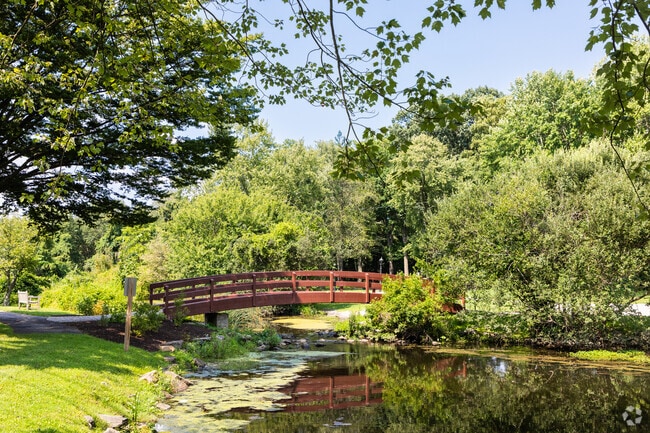 Wampus Brook Park is Armonk's serene retreat for nature lovers and families.