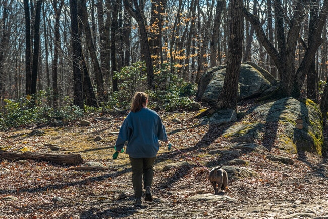 There are a variety of hiking trails in the area surrounding Lake Hopatcong.