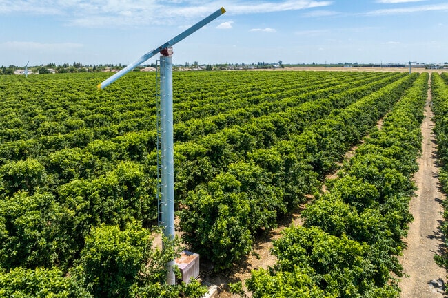 The farmland surrounding Sanger can create dust pollution during the summer months.