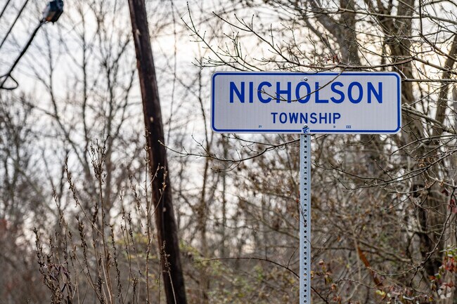 Nicholson Township is a rural area along the Monongahela River.