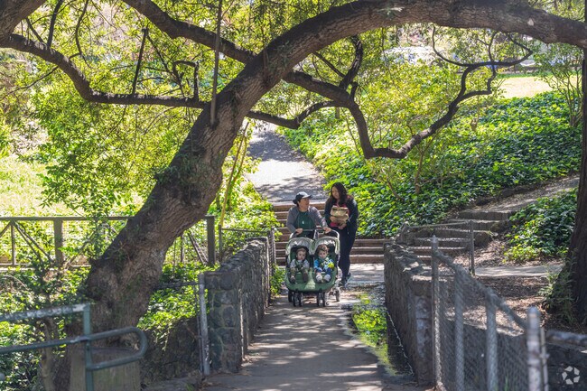 Walking trails meander through Live Oak Park with dense mature tree cover.