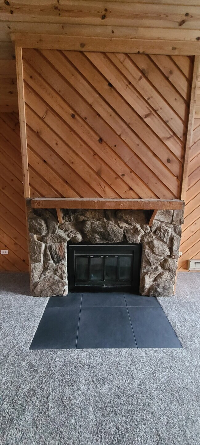 11 Sun Way, Bailey, CO 80421 - photo 7