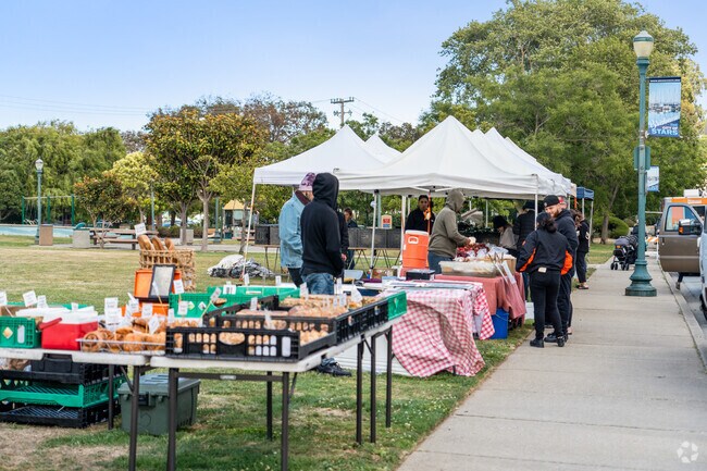 Explore diverse stalls and vendors at the bustling Brisbane Farmers Market.