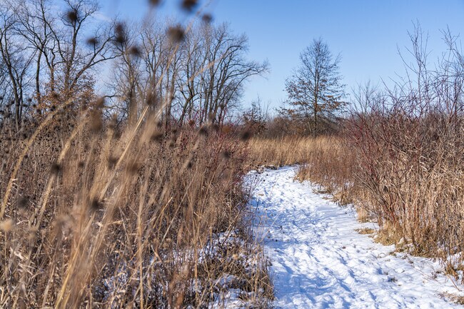 Greiner Preserve has many ecosystems including open sandy dune, oak savanna, and prairie.