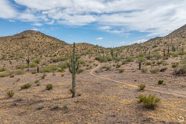 Outdoor adventures in Arizona City include picturesque hiking trails in the Sonoran Desert.