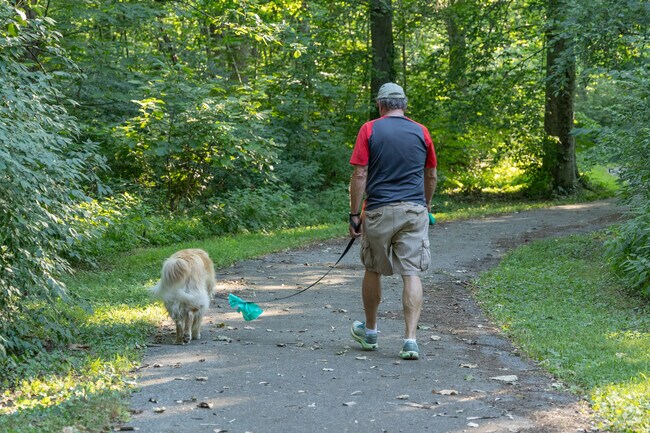 Community Park in St. Matthews is over 45 acres of walking paths and sports fields.