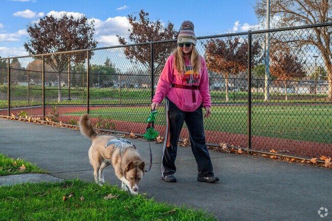 Go for a walk on a sunny day in Centerville Community Park in Centerville District, CA.