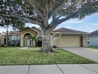 11906 Timberhill Dr, Riverview, FL 33569