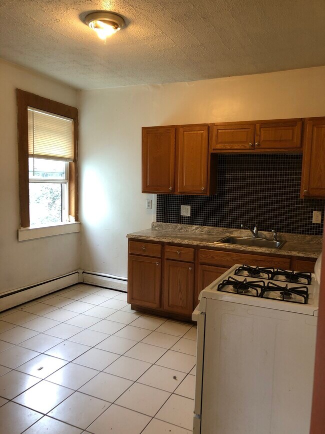 8 Oakland St unit 3, Roxbury, MA 02119 - photo 3