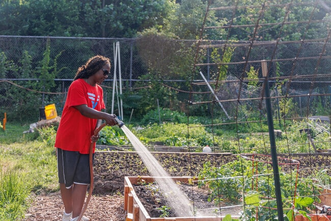 Get your grow on at Fort Holabird Park's community garden.