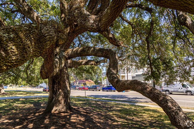 Shade trees line the streets of Port Allen.