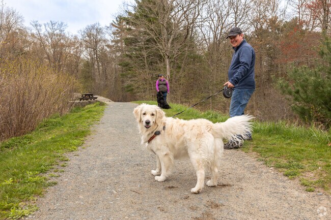 Ames Nowell State Park in Abington is a fantastic place to walk your furry friend.