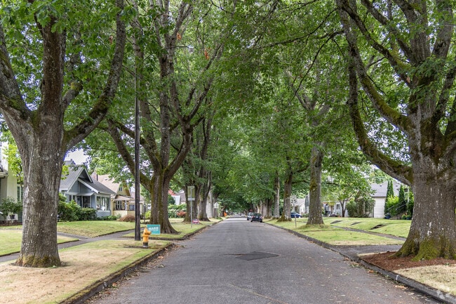Might Oak trees line the streets of Old Town West