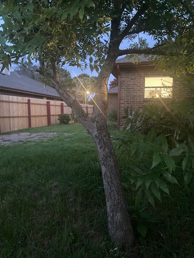 1007 Dandelion Dr, Mesquite, TX 75149 - photo 3