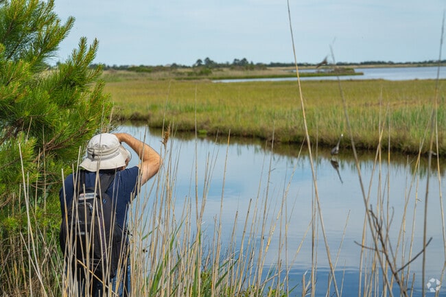 Wildlife photographers can capture the views at Prime Hook National Wildlife Refuge.