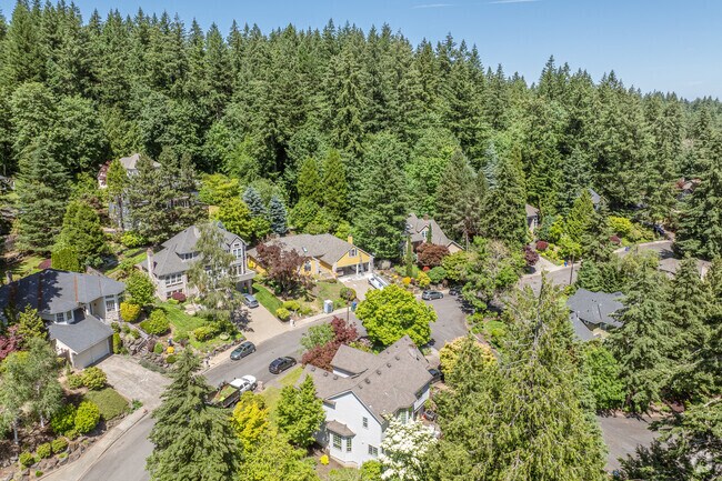 Arnold Creek is hidden amid southwest Portland’s towering evergreen trees.