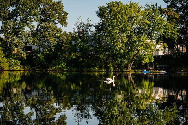 Beautiful nature views can be seen every day on quiet Sand Pond Wetlands.