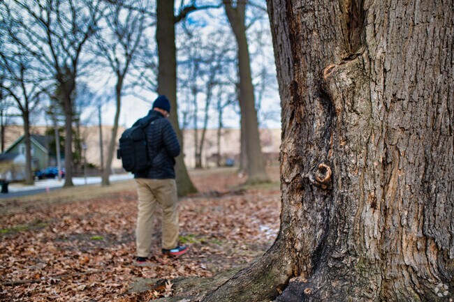 Greencroft Park is a wooded park located in the heart of the neighborhood.