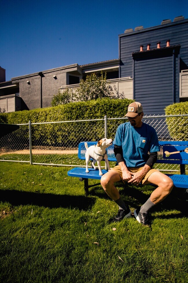 ReNew on Summerfield, Vacaville, CA 95687 - photo 5