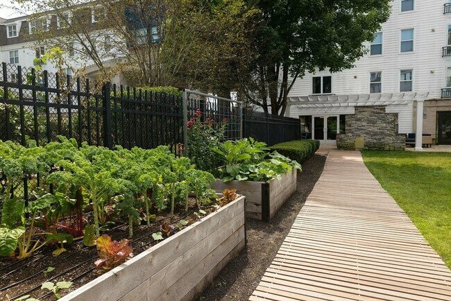 Avana Cliffside, Malden, MA 02148 - photo 6