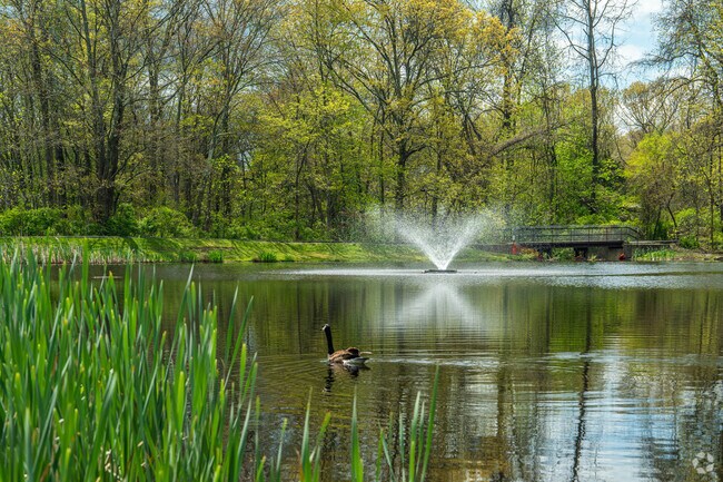 Scenic pond in Muriel Hepner Nature Park in Denville