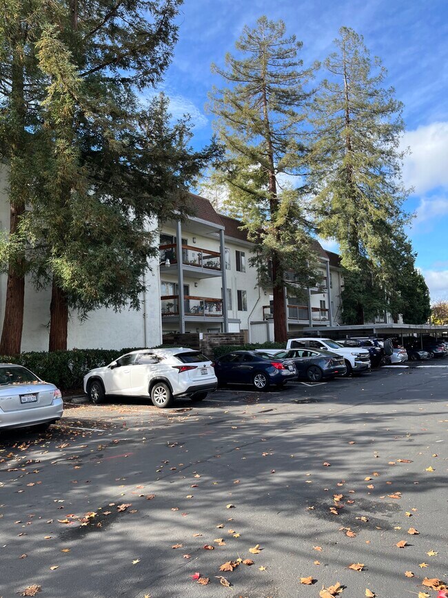 4081 Clayton Rd, Concord, CA 94521 - photo 6