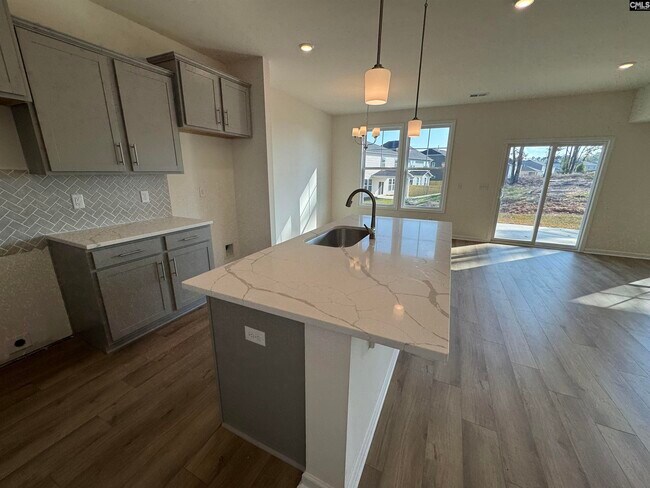 555 Griffon Dr, Chapin, SC 29036 - photo 7